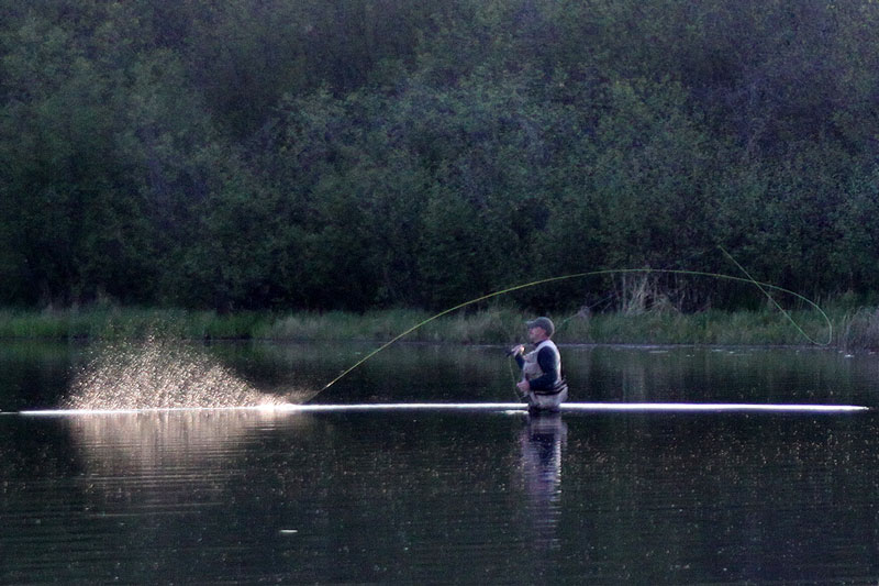 Fly Fishing Links & Resources