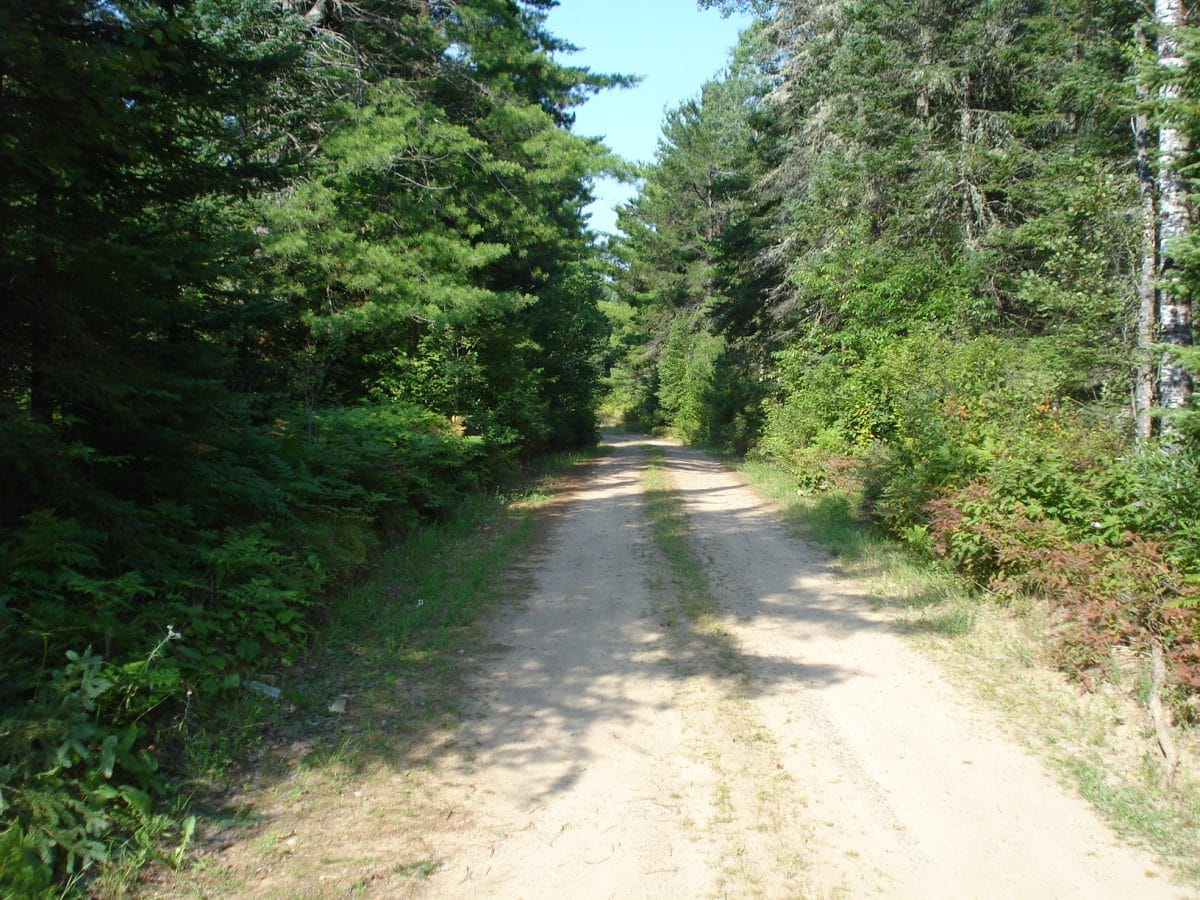 Biking Additional Information