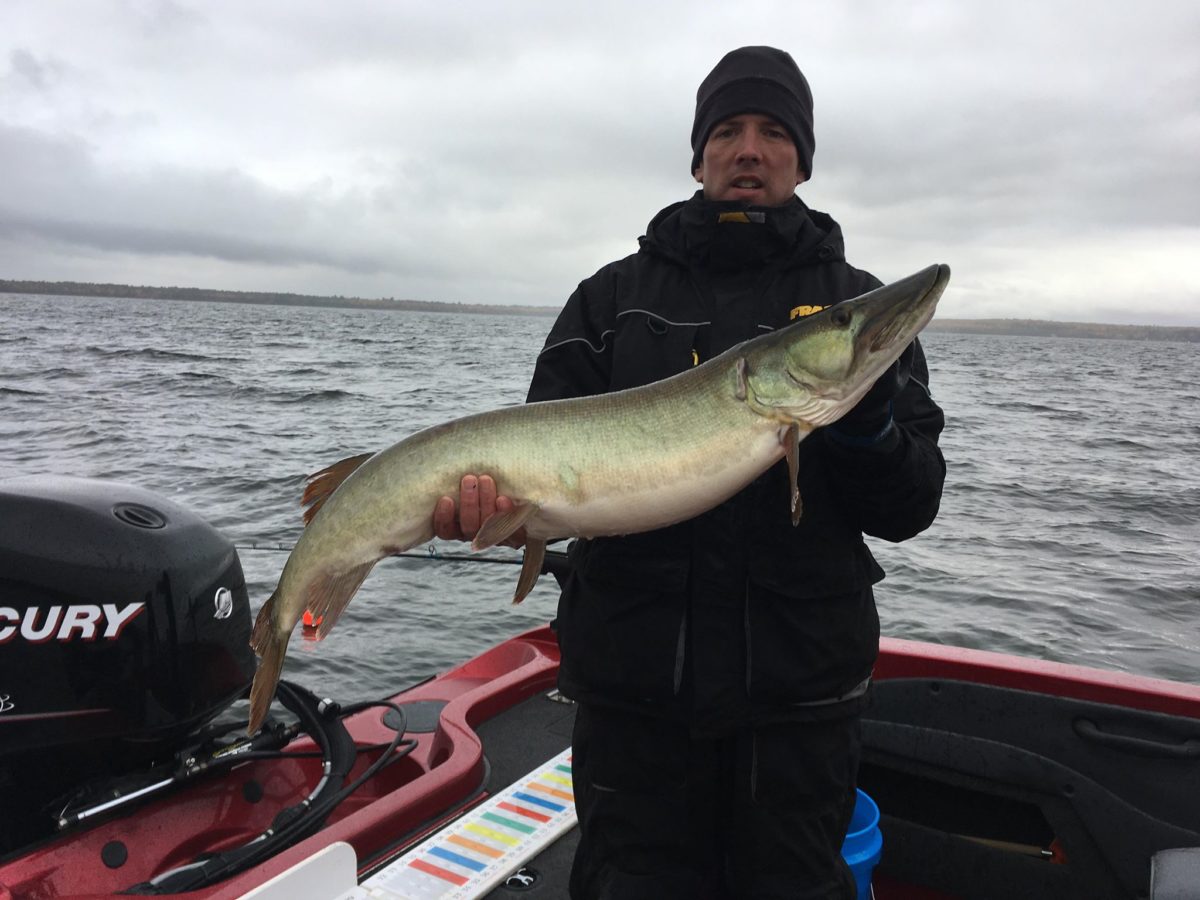 Featured Image for Competition