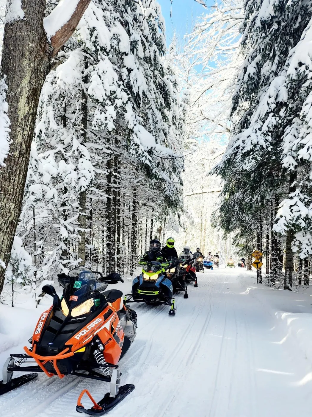 Snowmobiles on a Trail near Phelps WI