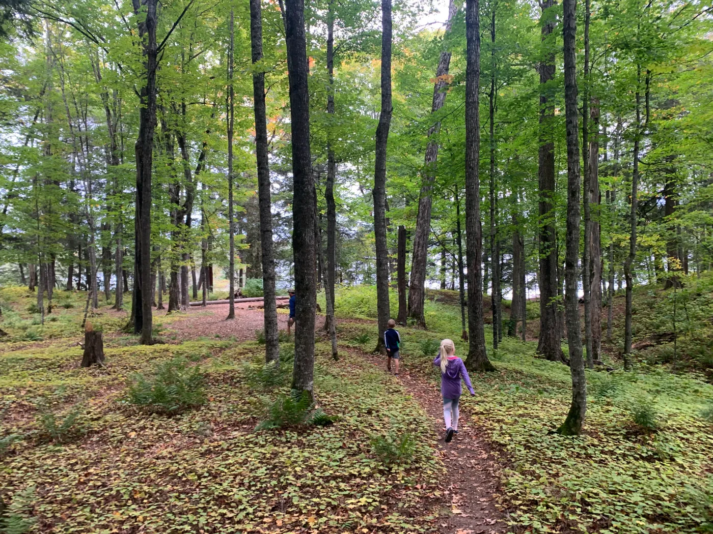 Family Hiking Through the Woods