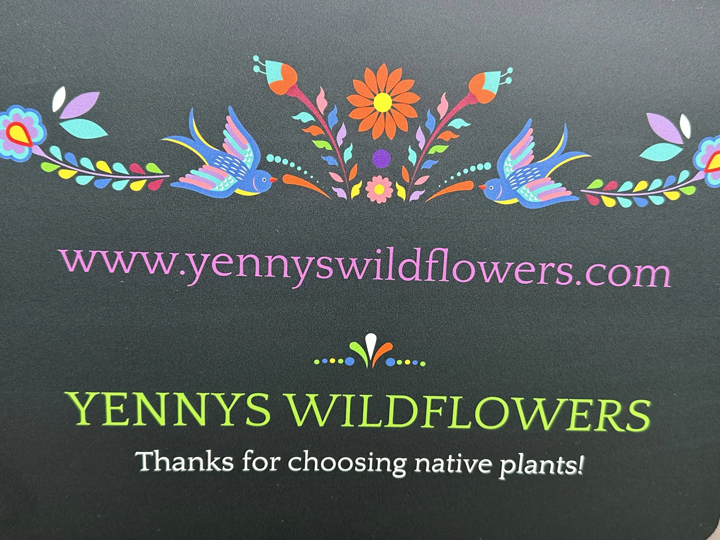 Featured Image for Yennys Wildflowers